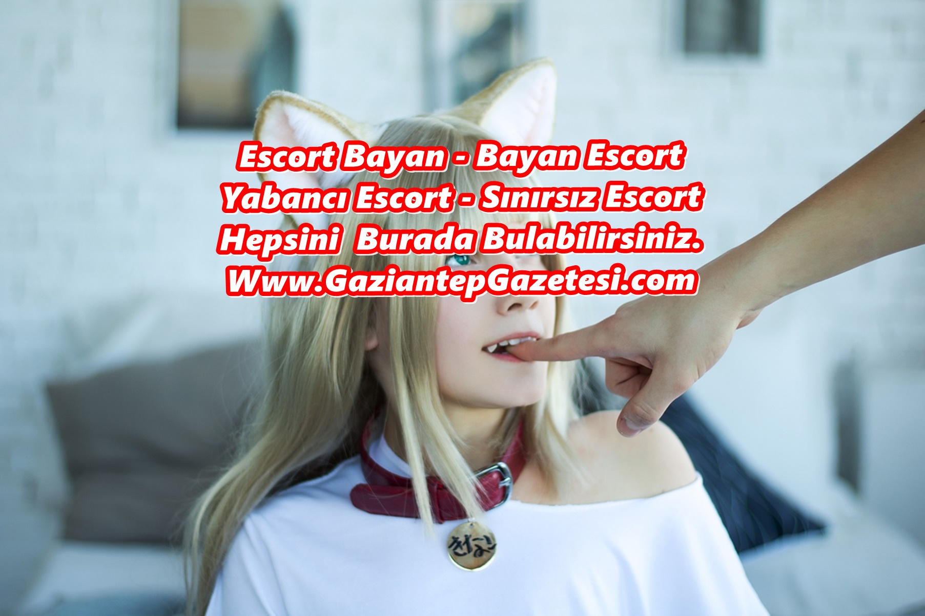 İsviçre Escort