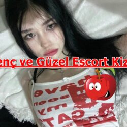 Güvenilir Gaziantep Escort Sitesi